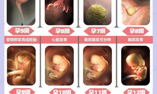 喂奶时不可以吃什么专区_喂奶可以吃什么水果专区_在喂奶期间什么不能吃什么水果蔬菜网
