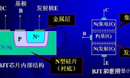 喂奶期间吃什么水果对宝贝好-喂奶时不可以吃什么专区_喂奶可以吃什么水果专区_在喂奶期间什么不能吃什么水果蔬菜网